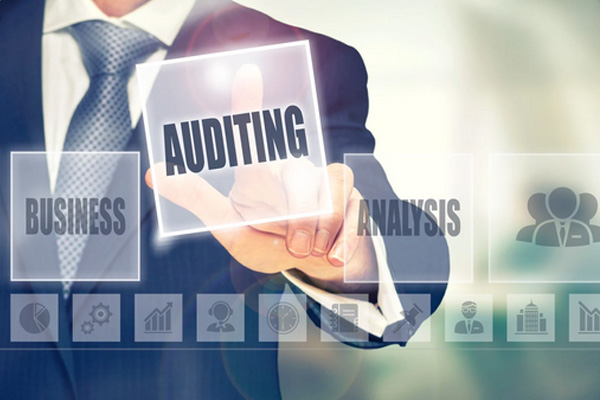 Auditing And Assurance Services