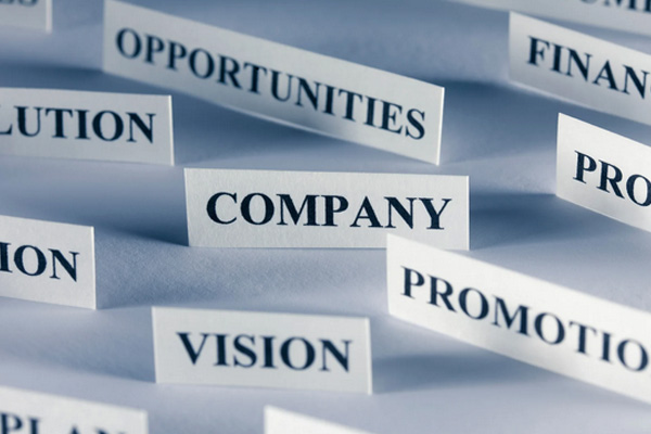 Company Formation And ROC Compliance